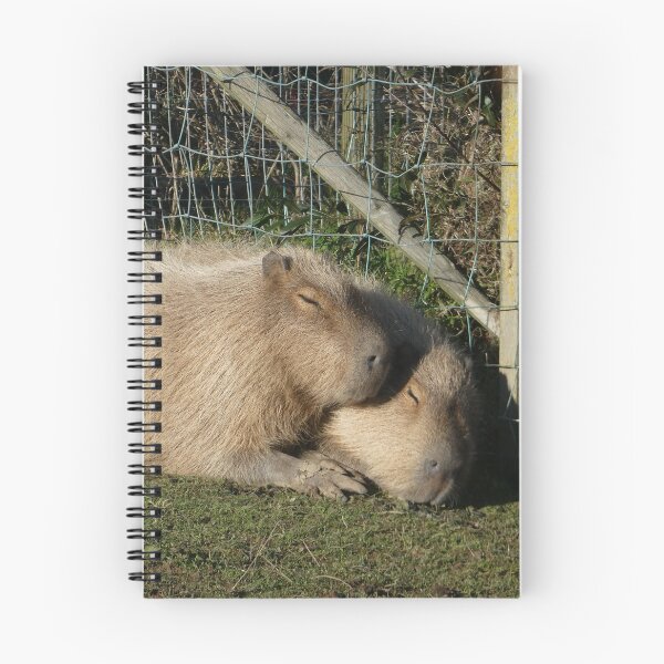 Item preview, Cuddling Capybaras designed and sold by EmilyCBowdenArt.