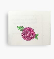 pink poppy flower Canvas Print