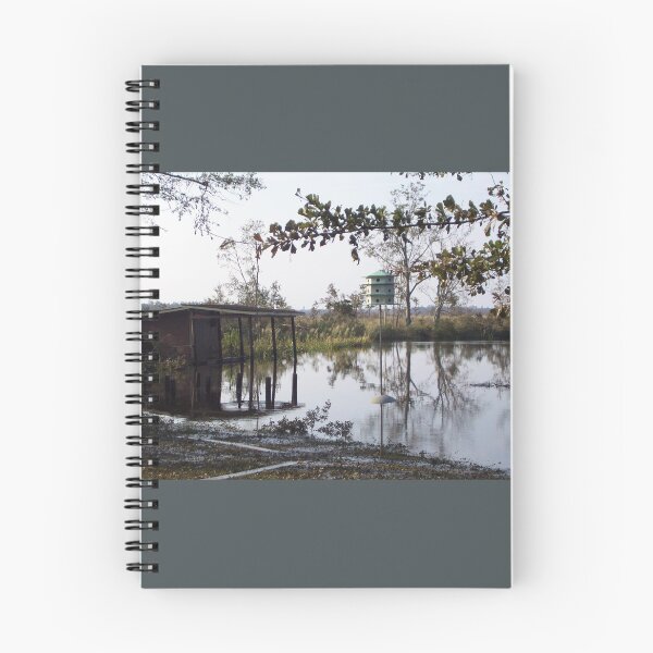 Item preview, After hurricane Katrina everything turned bleak. designed and sold by Mariann Moritz.