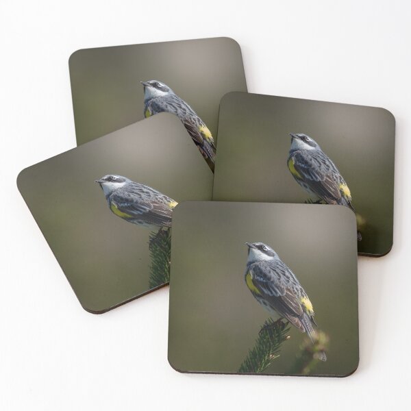 Item preview, Yellow Warped Warbler designed and sold by Michel (Mike) Soucy.