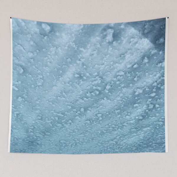Item preview, Frozen window shield designed and sold by aqsaIntizar.
