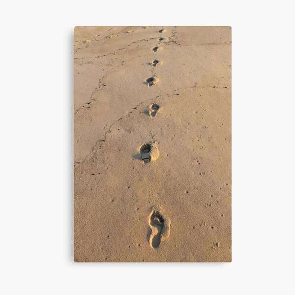 Bare footprints on the coastal sand Canvas Print
