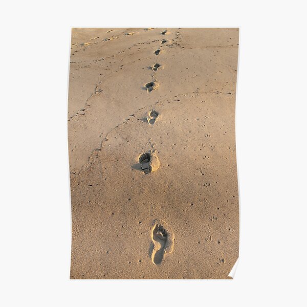 Bare footprints on the coastal sand Poster