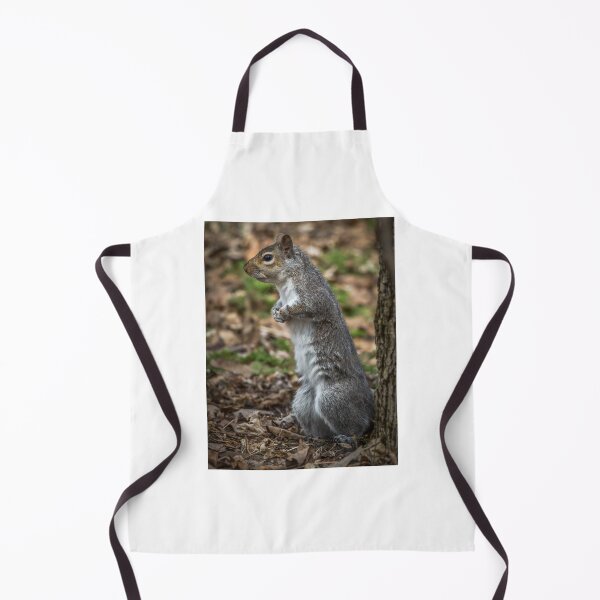 Item preview, Squirrel Standing Up designed and sold by Ian Christopher.
