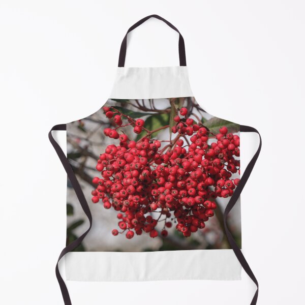 Item preview, Red Berries of the Toyon Plant designed and sold by Ian Christopher.