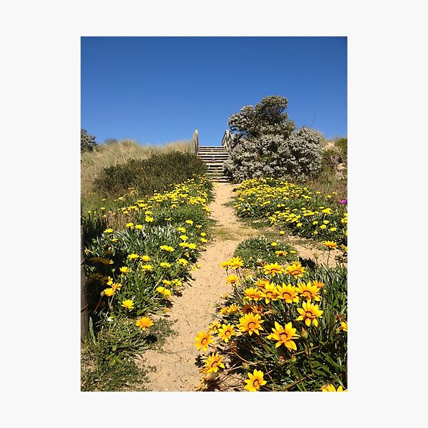 Item preview, Flower walk to ninety mile beach designed and sold by Sarah Trett.