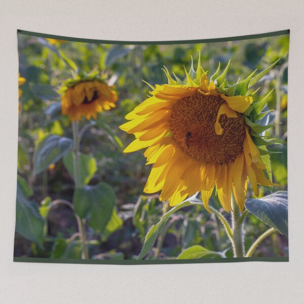 Item preview, Sunflowers blooming in a field designed and sold by Susan Sheldon.