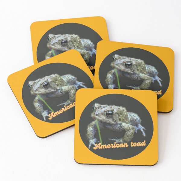 Item preview, American toad in orange designed and sold by laceyyyann34.