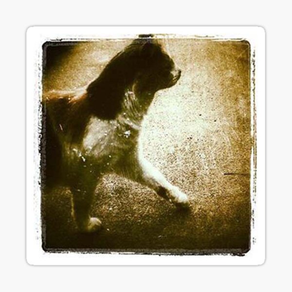 strut Sticker