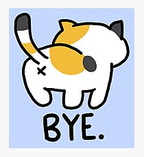 Neko Atsume Sass Fotodruck