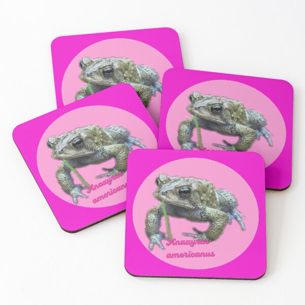 Item preview, American toad pink designed and sold by laceyyyann34.