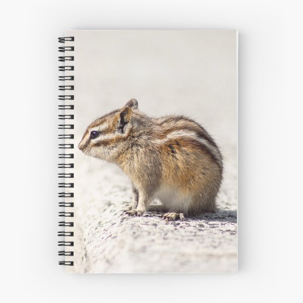 Item preview, Black Hills Chipmunk designed and sold by mikebraun.