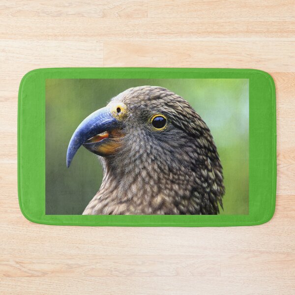 Item preview, Kea (Young 2 Year Old), New Zealand's Alpine Parrot designed and sold by Phil Le Cren.