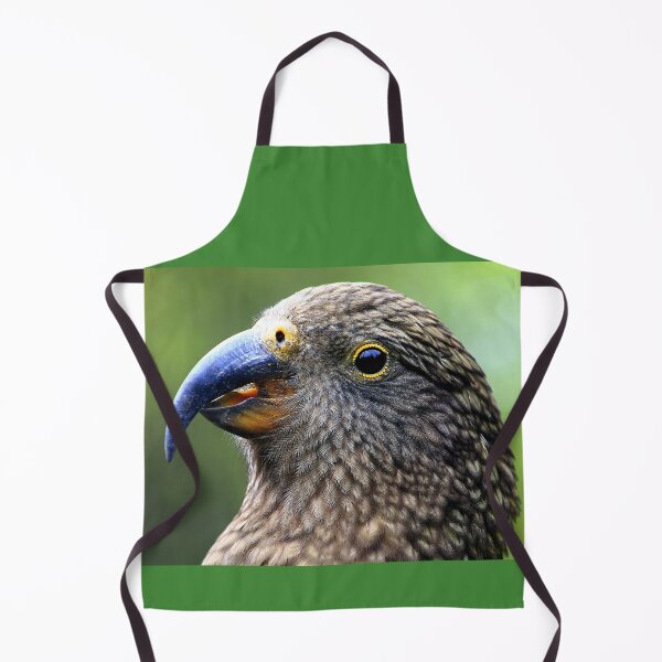 Item preview, Kea (Young 2 Year Old), New Zealand's Alpine Parrot designed and sold by Phil Le Cren.