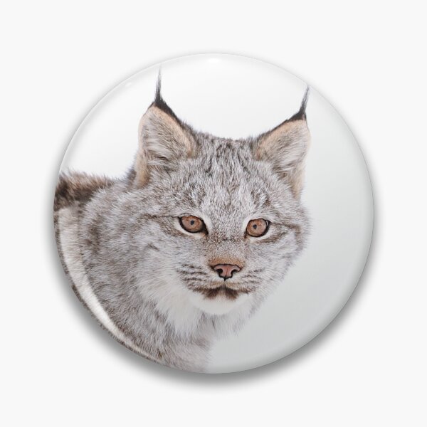 Item preview, Lynx Kitten Exploring designed and sold by mlorenz.