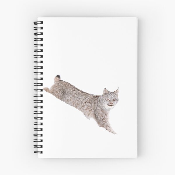 Item preview, Lynx Kitten Exploring designed and sold by mlorenz.