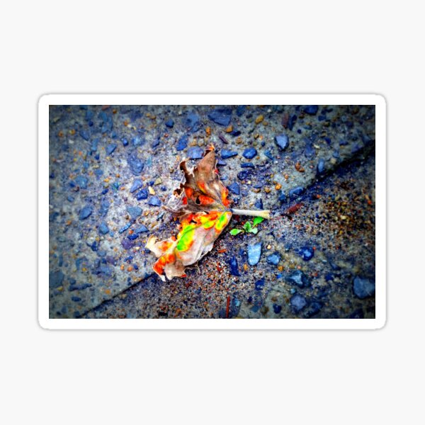 Item preview, Rainbow Leaf designed and sold by HrafnMusic.