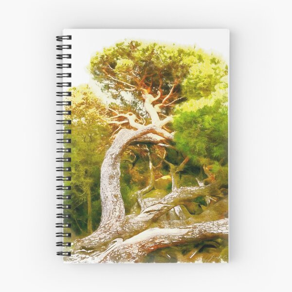 Item preview, Island Caprera: pine tree designed and sold by Giuseppe Cocco.
