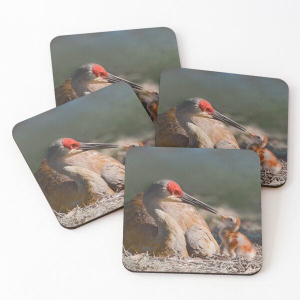 Item preview, Sandhill cranes eye contact to its baby designed and sold by Zina Stromberg.