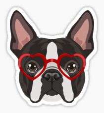 Pegatina Boston Terrier Dog Hipster Glasses
