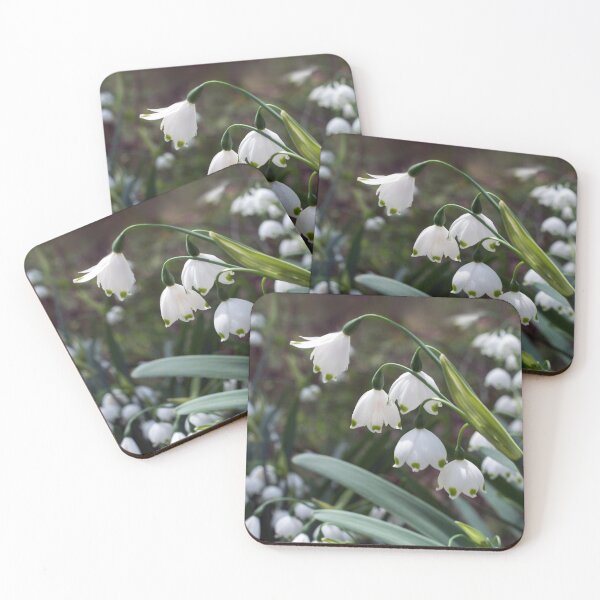 Item preview, Spring snowflake flowers in a showy flowerbed designed and sold by Susan Sheldon.