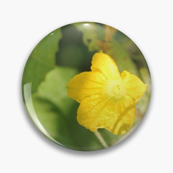 Yellow unnamed flower on a background of green leaves Pin