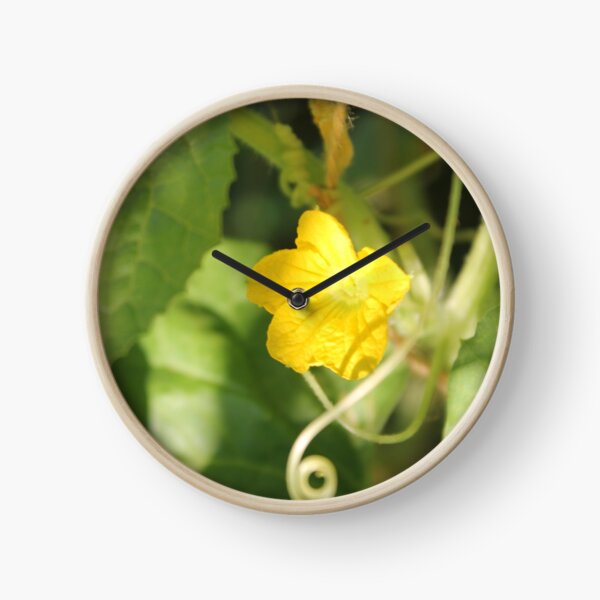 Yellow unnamed flower on a background of green leaves Clock