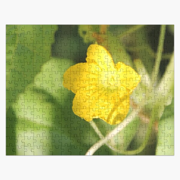 Yellow unnamed flower on a background of green leaves Jigsaw Puzzle