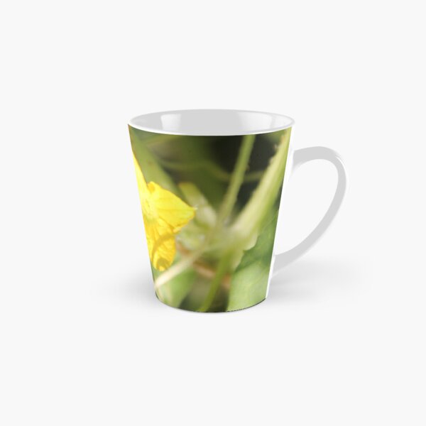 Yellow unnamed flower on a background of green leaves Tall Mug
