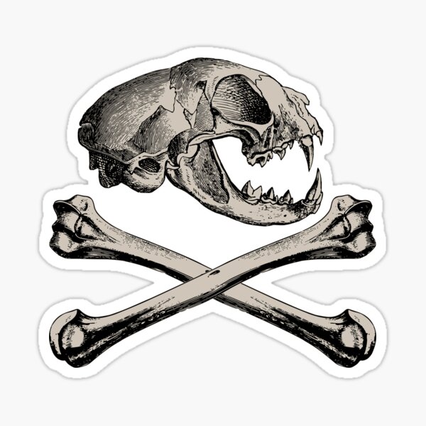 Item preview, Cat Skull and Crossbones designed and sold by RavenWake.