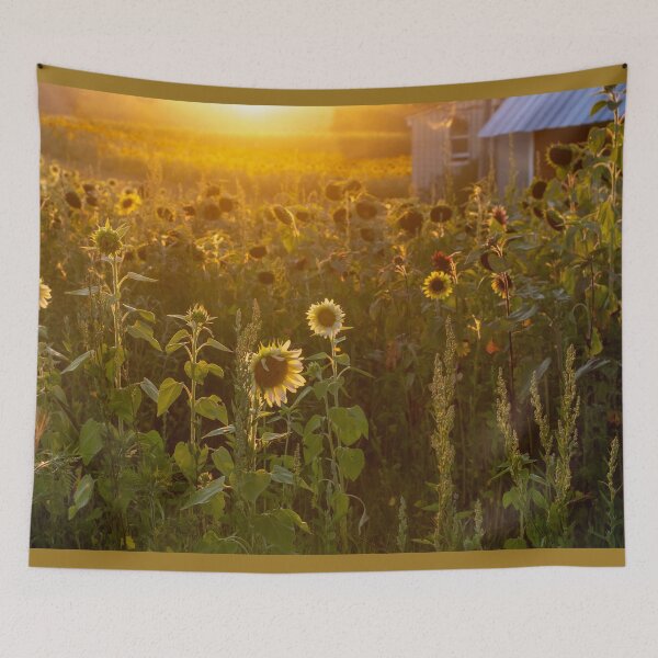 Item preview, Glowing sunflower farm designed and sold by Susan Sheldon.
