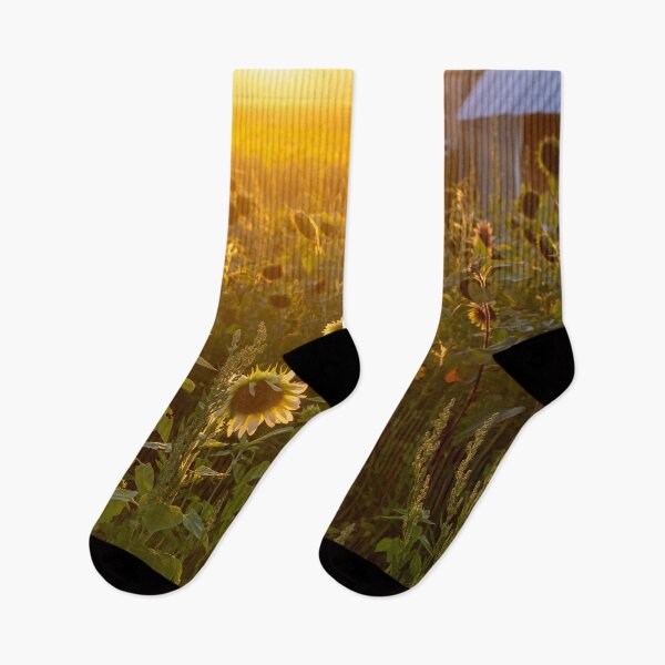 Item preview, Glowing sunflower farm designed and sold by Susan Sheldon.