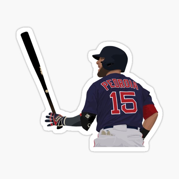 Boston Red Sox Vinyl Decals Phone Laptop Stickers Set of 8