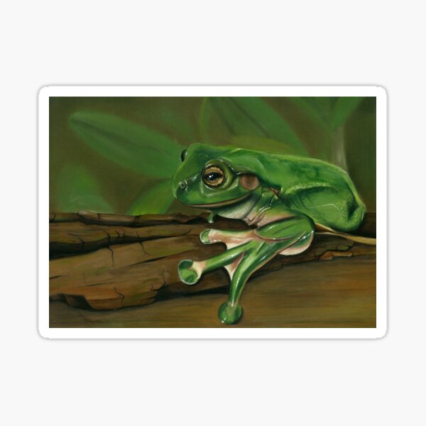 Green tree Frog Sticker