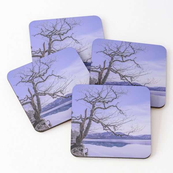 Item preview, Mysterious Deadstock Tree by Lake side designed and sold by recs-official.