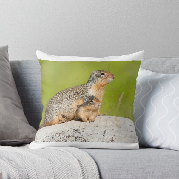 Item preview, Columbian Ground Squirrel designed and sold by Jukka Jantunen.