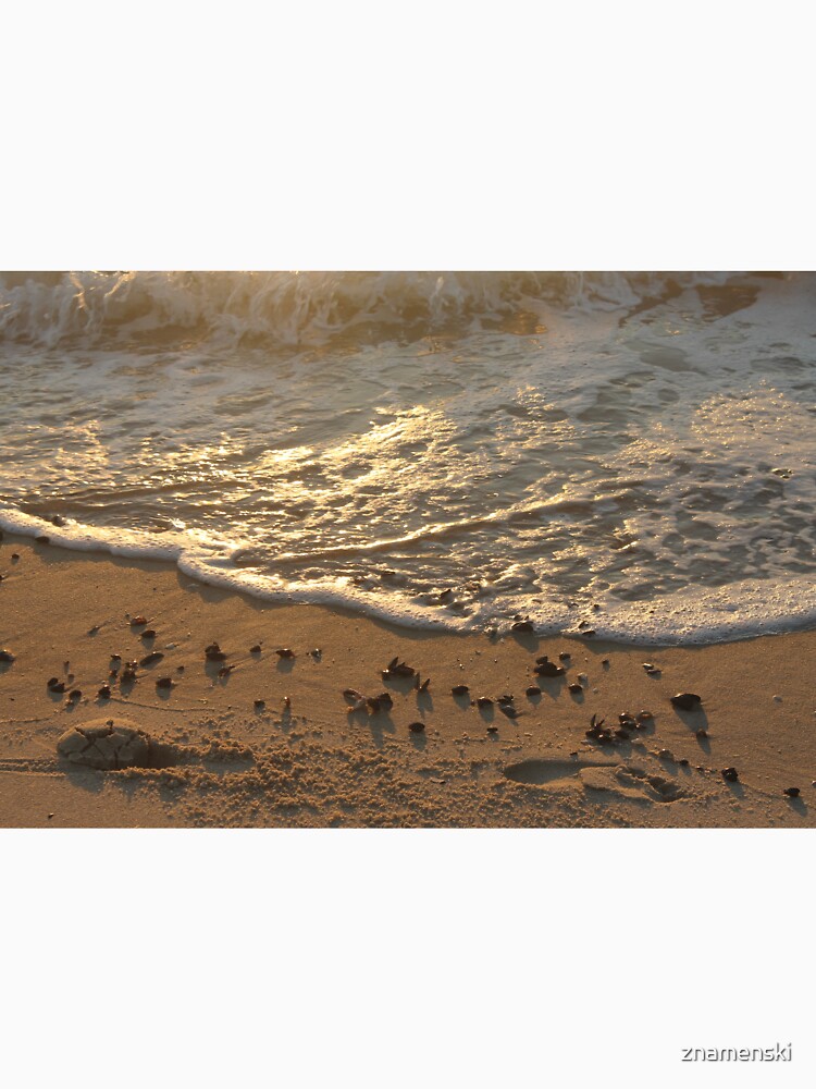 Sea foam, wave, sand, small stones by znamenski