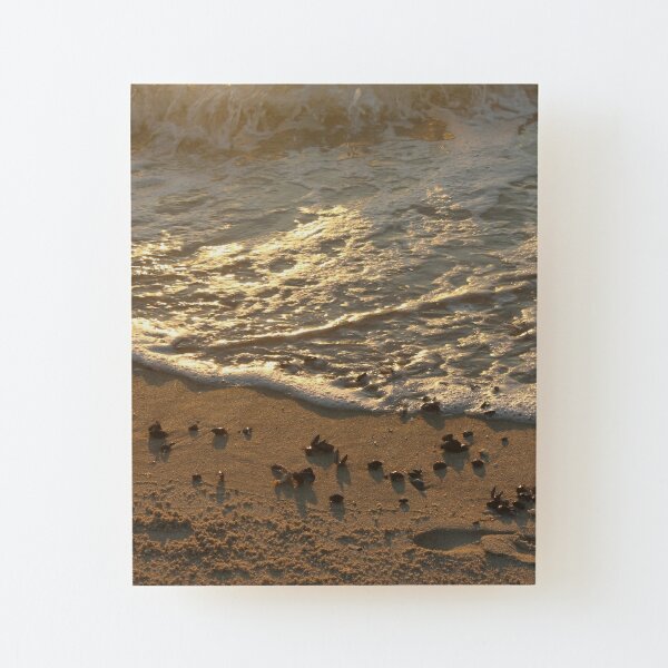 Sea foam, wave, sand, small stones Wood Mounted Print