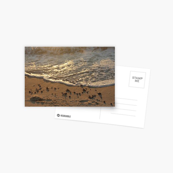 Sea foam, wave, sand, small stones Postcard