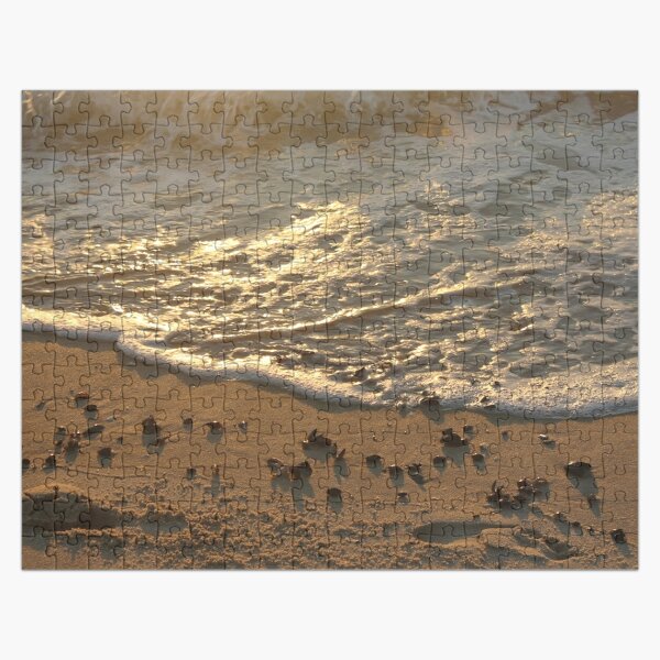 Sea foam, wave, sand, small stones Jigsaw Puzzle