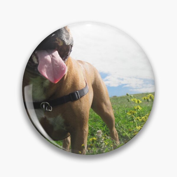 Item preview, Bodie designed and sold by ScarySherys.