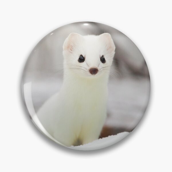 Item preview, Ermine designed and sold by Jukka Jantunen.