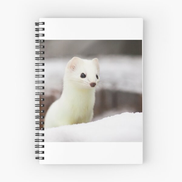 Item preview, Ermine designed and sold by Jukka Jantunen.