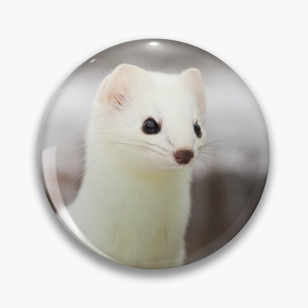 Item preview, Ermine designed and sold by Jukka Jantunen.