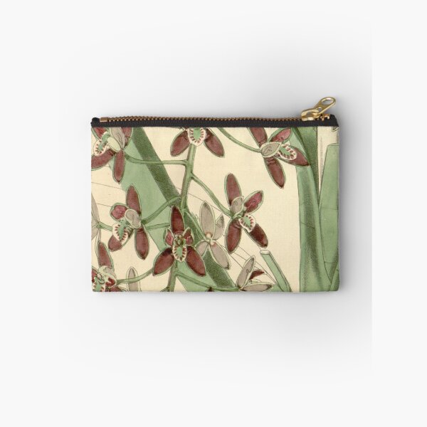 Item preview, Cymbidium canaliculatum designed and sold by EsotericBotanic.