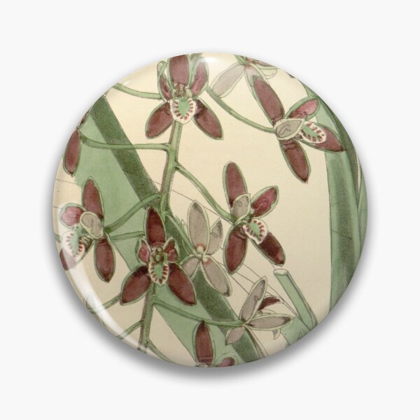 Item preview, Cymbidium canaliculatum designed and sold by EsotericBotanic.