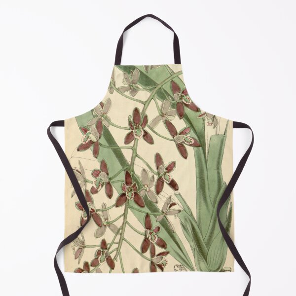 Item preview, Cymbidium canaliculatum designed and sold by EsotericBotanic.