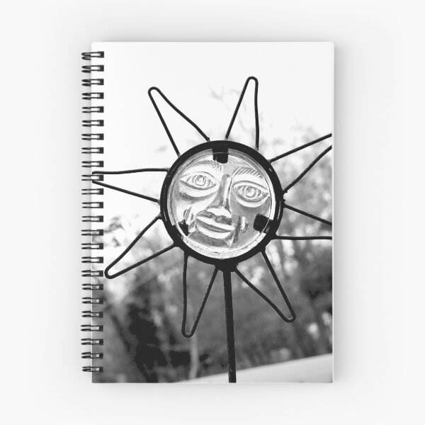 Item preview, don't steal my sunshine designed and sold by rclsivcreative.