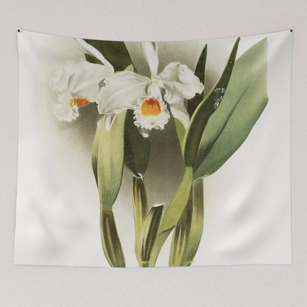 Item preview, Reichenbachia: Orchids Illustrated and Described designed and sold by EsotericBotanic.