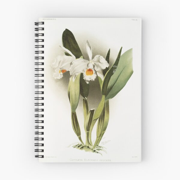Item preview, Reichenbachia: Orchids Illustrated and Described designed and sold by EsotericBotanic.